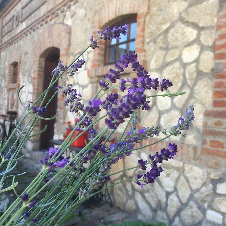 Hotel Levendula Porta és Pajtaszínház Orfű Esterno foto