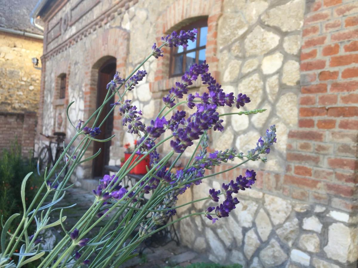 Hotel Levendula Porta és Pajtaszínház Orfű Esterno foto
